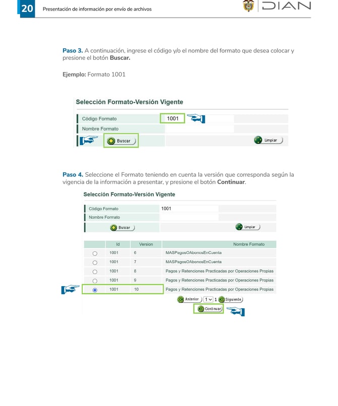 Selección del formato 1001 en el portal DIAN